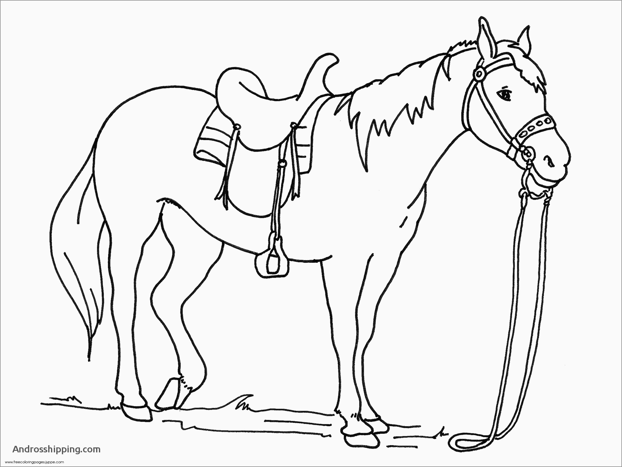 15 Inspirational Free Coloring Pages for Horses androsshipping