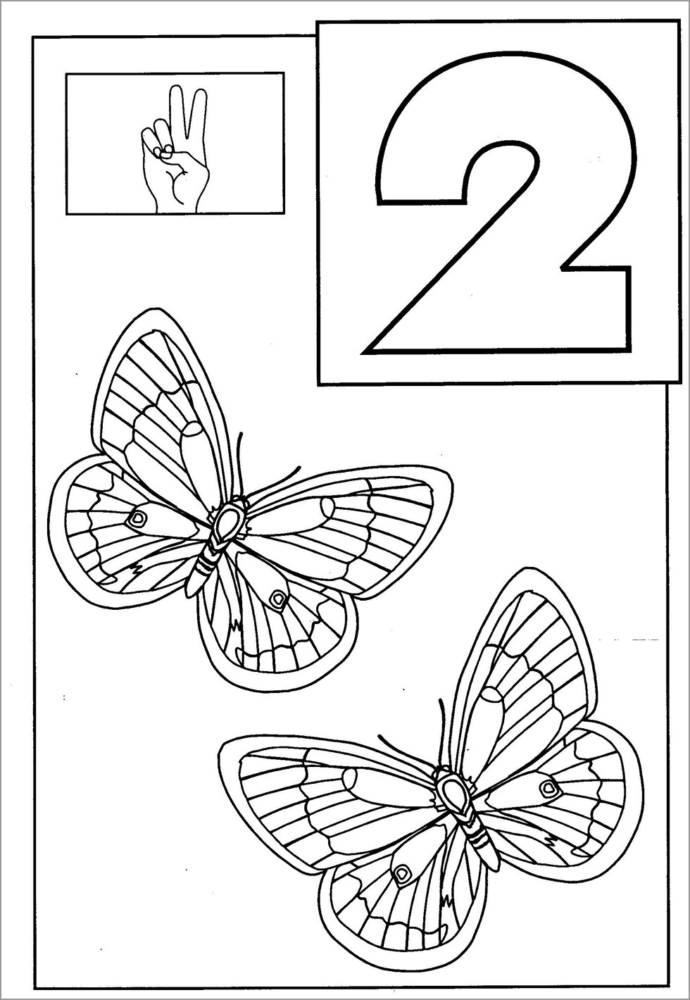 2 butterflies Coloring Page