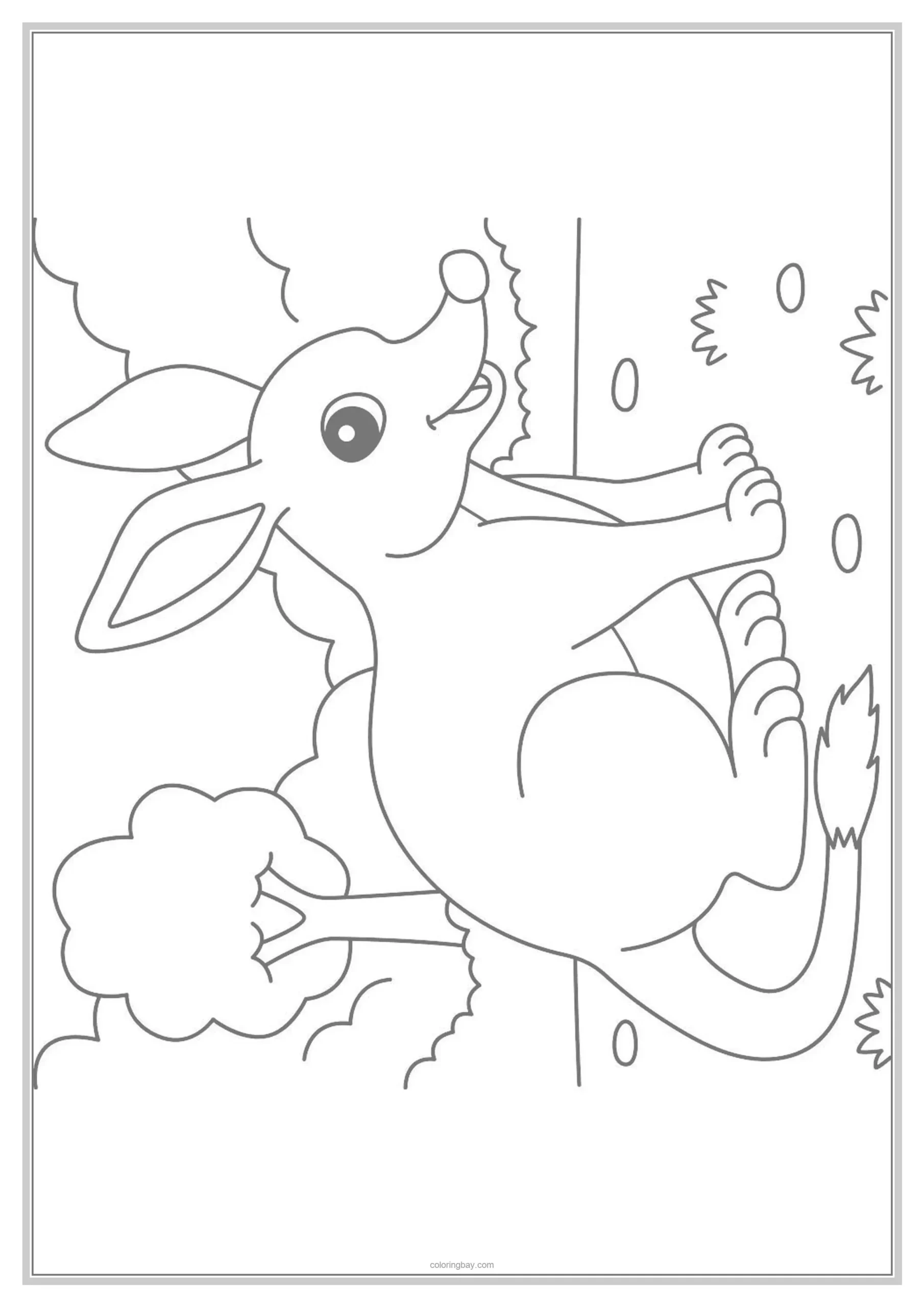 Bilby Underground Animals Coloring Pages for Kids