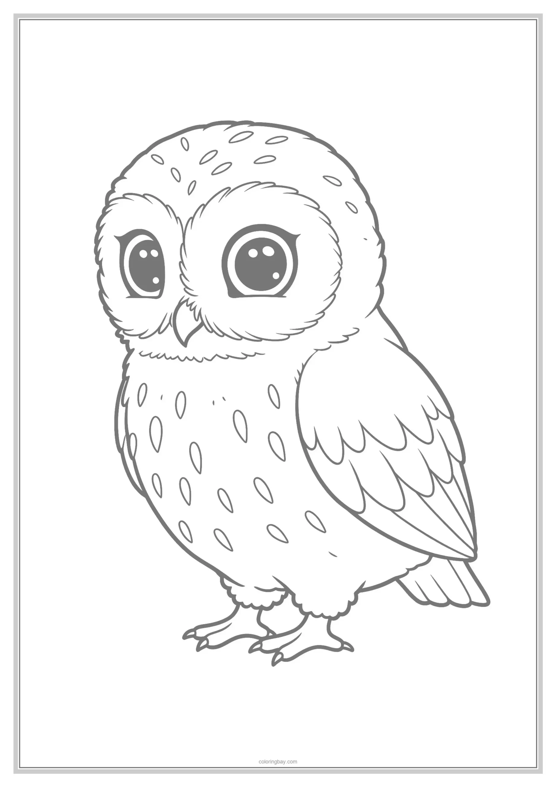 Burrowing Owl Underground Animals Coloring Page