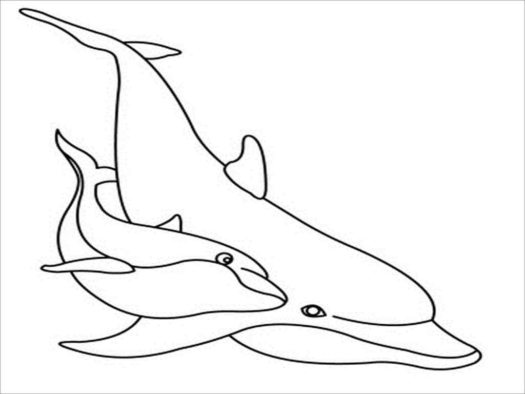 Dolphin Moms and Baby Coloring Page
