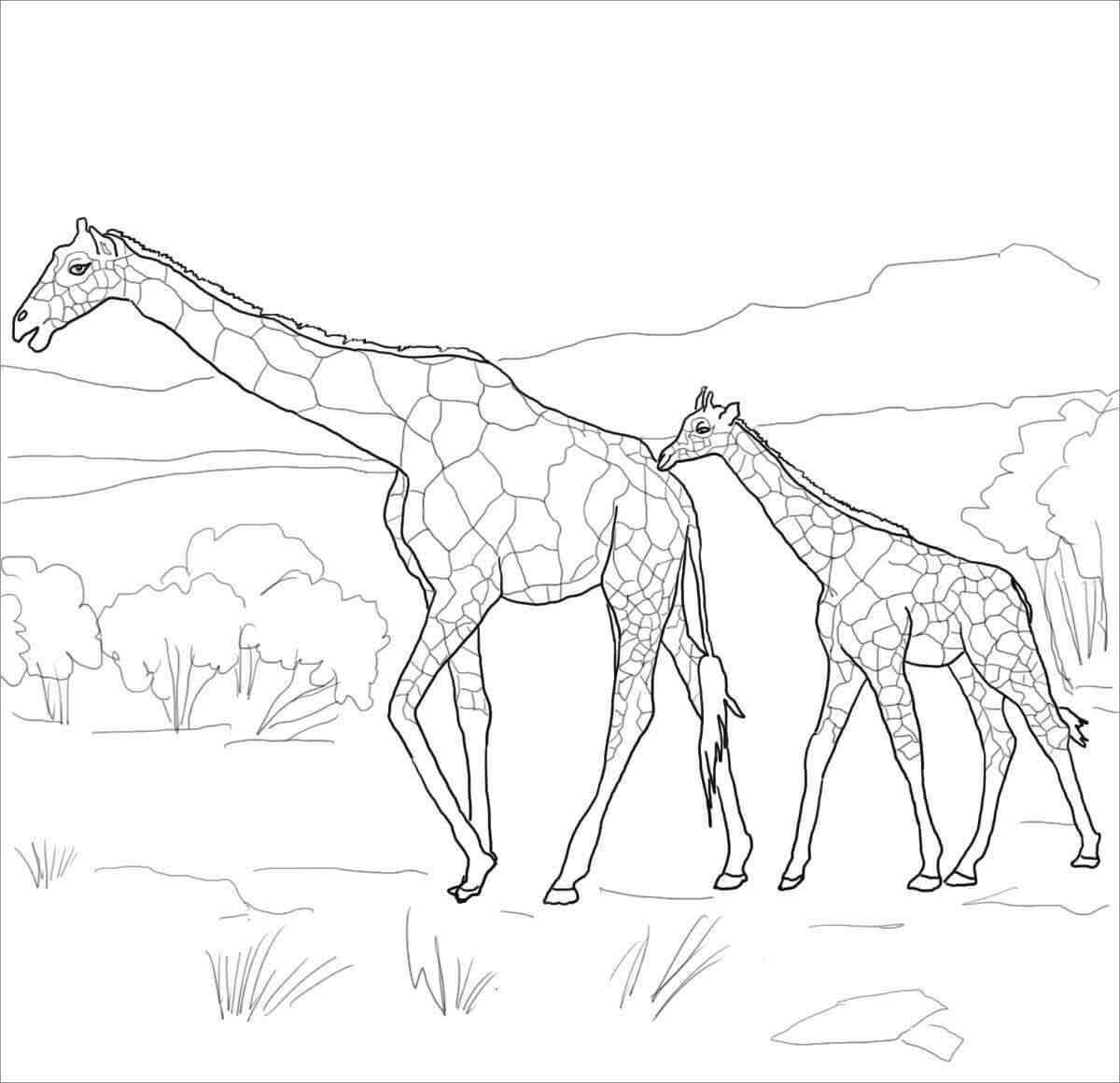 Giraffe Moms and Baby Coloring Page