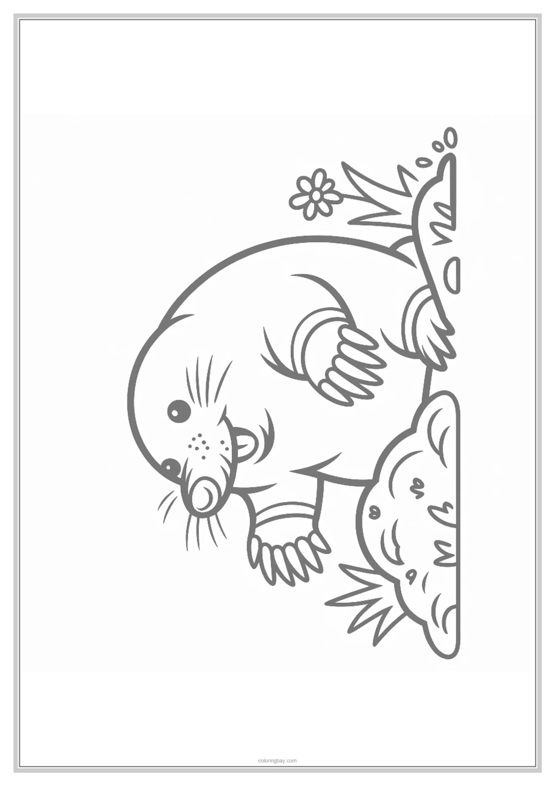 Mole Underground Animals Coloring Page
