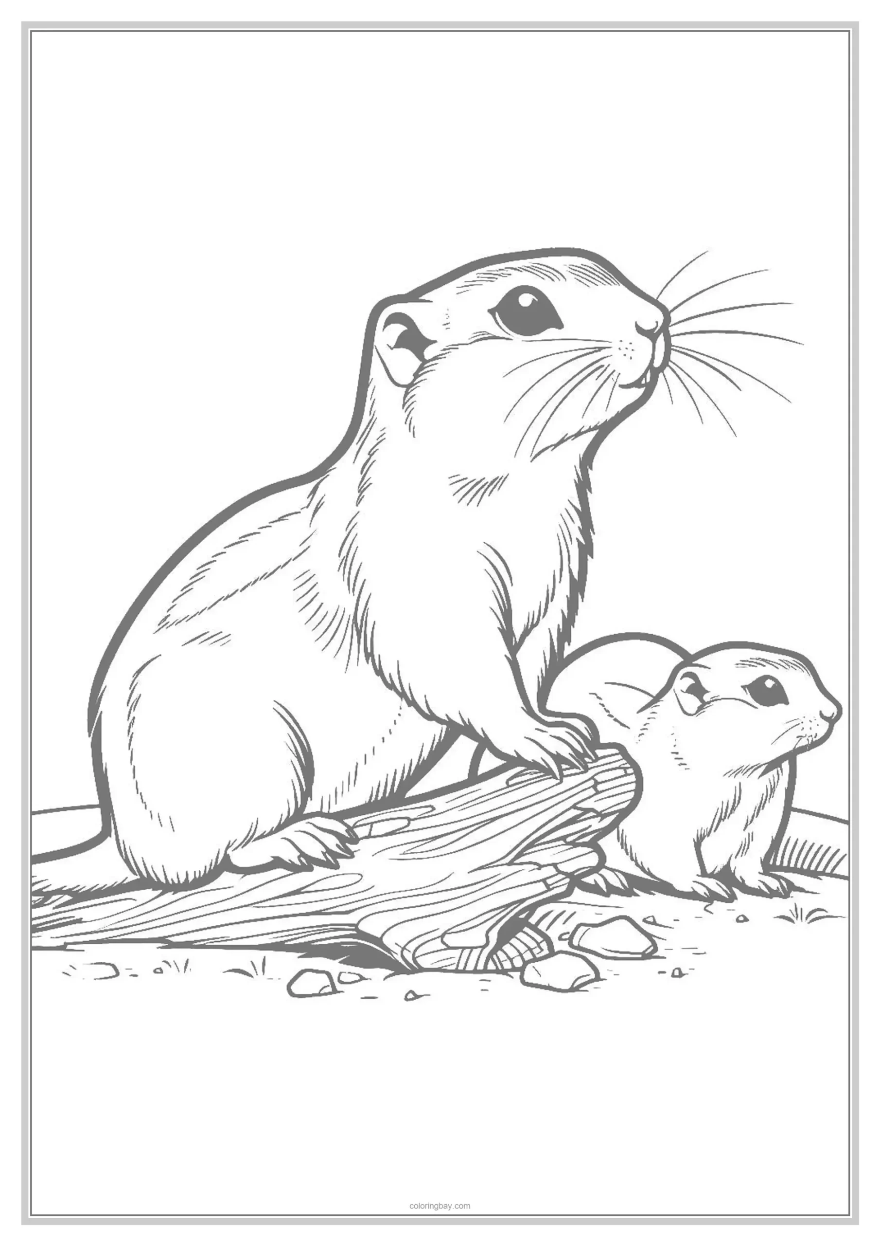 Prairie Dog Underground Animals Coloring Pages for Kids