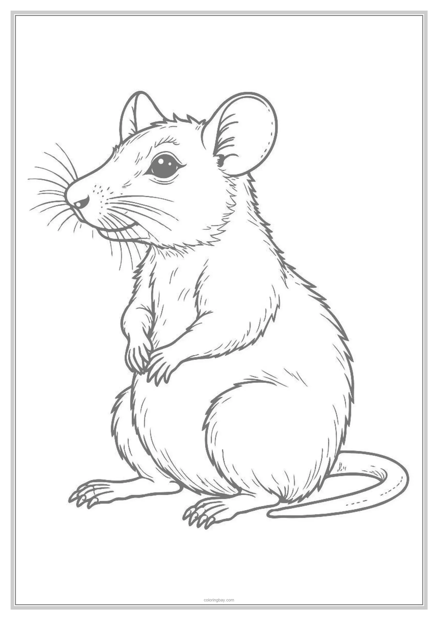 Rat Underground Animals Coloring Pages