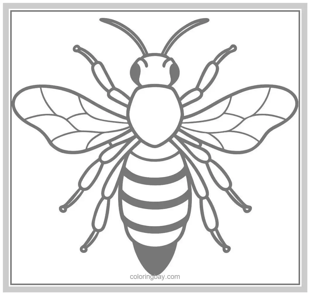 Wasp Coloring Pages to Print