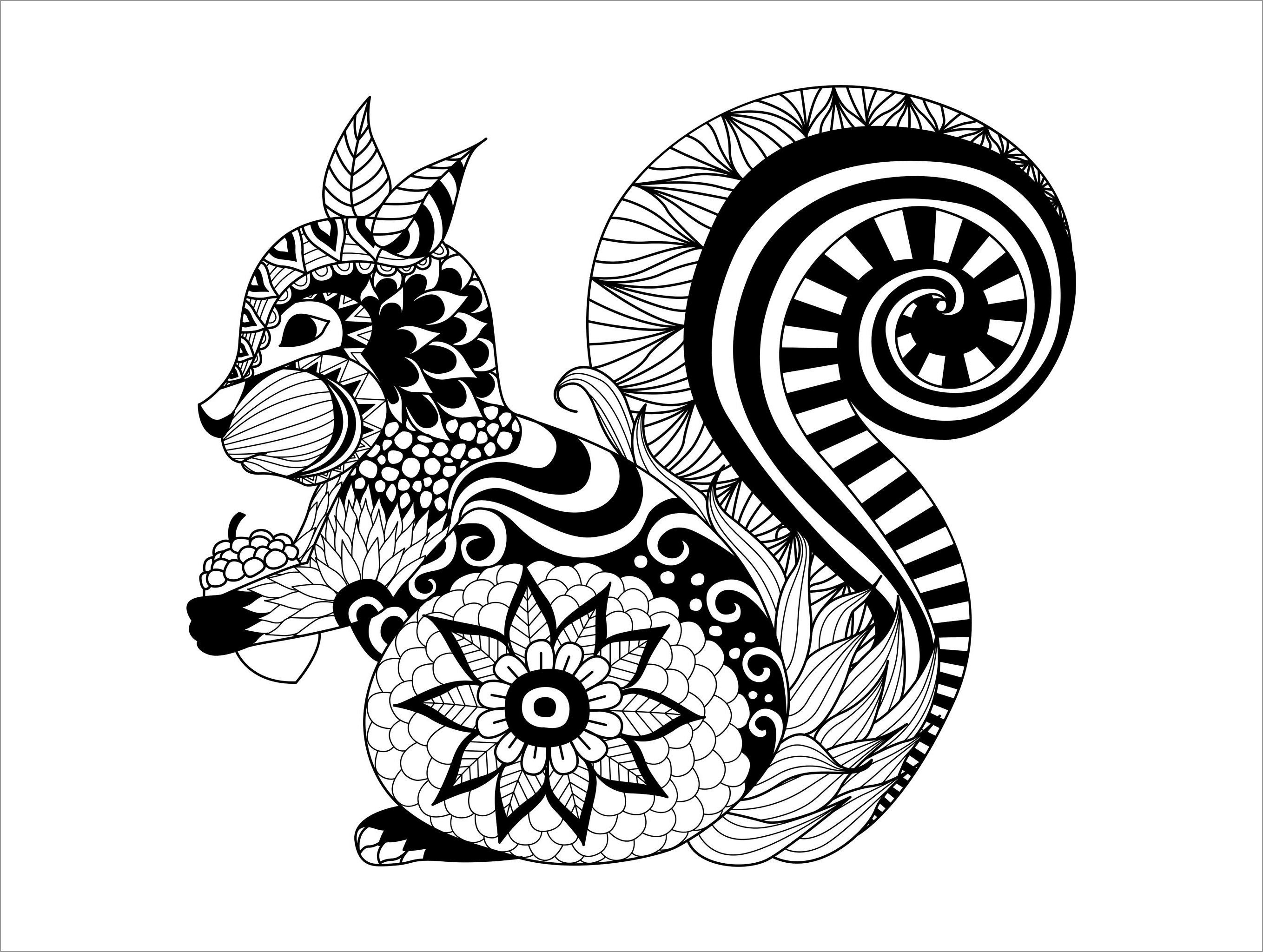 Abstract Coloring Pages Animals Squirrel