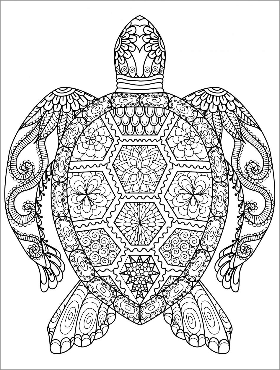 Abstract Coloring Pages Animals Turtle