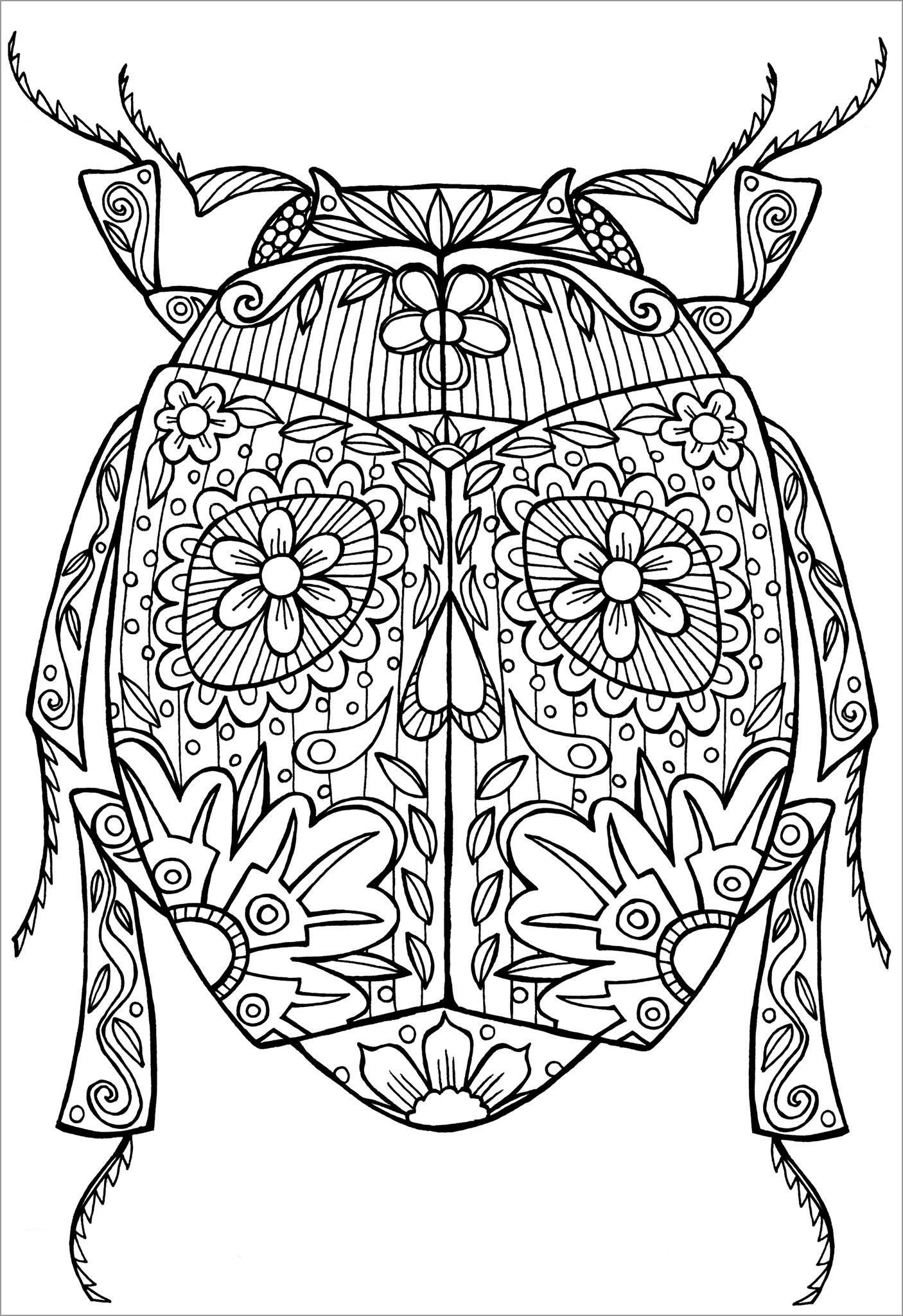 Abstract Coloring Pages Beetle Bug