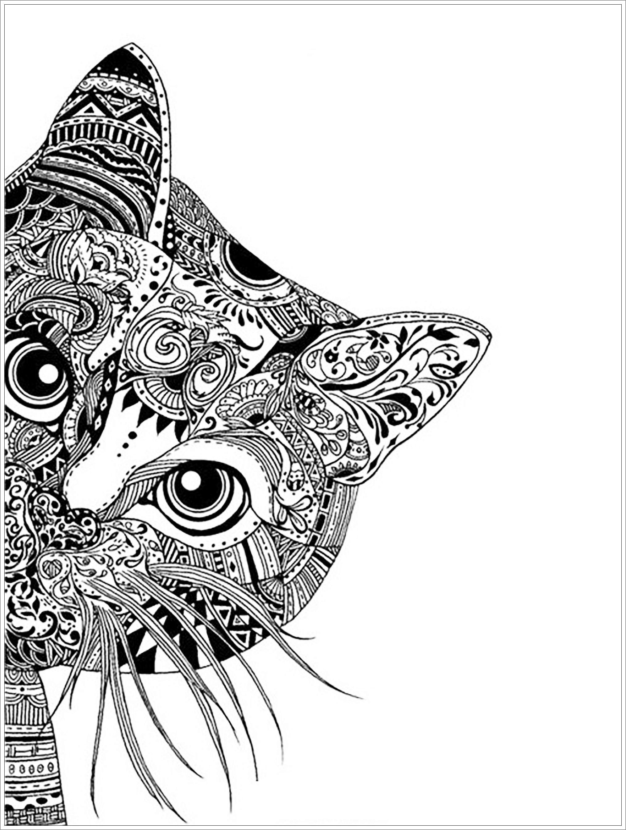 Abstract Coloring Pages Cat