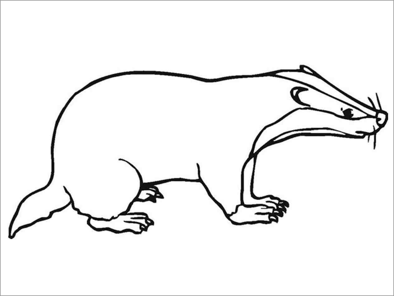 African Badgers Coloring Pages