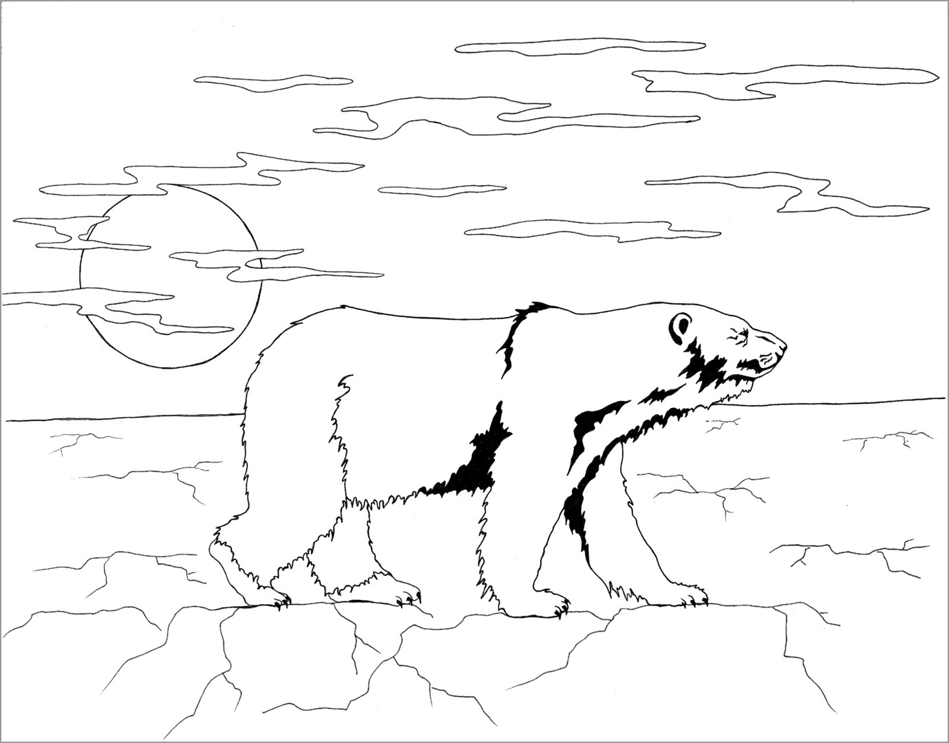 Alaskan Bear Coloring Page