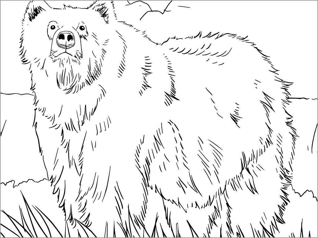 Alaskan Grizzly Bear Coloring Page
