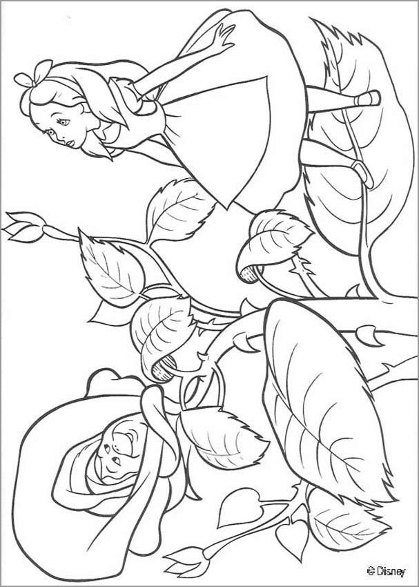 Alice In Wonderland Coloring Pages - ColoringBay