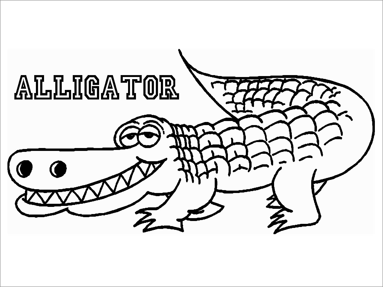 Alligator Coloring Pages for toddlers