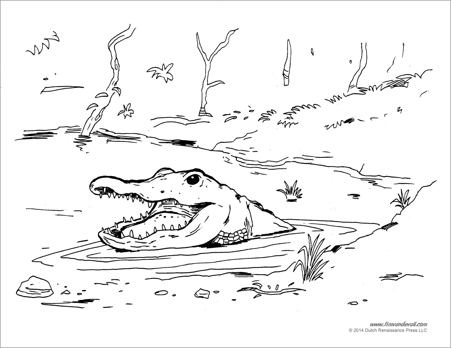 Alligator Head In the Water Coloring Pages