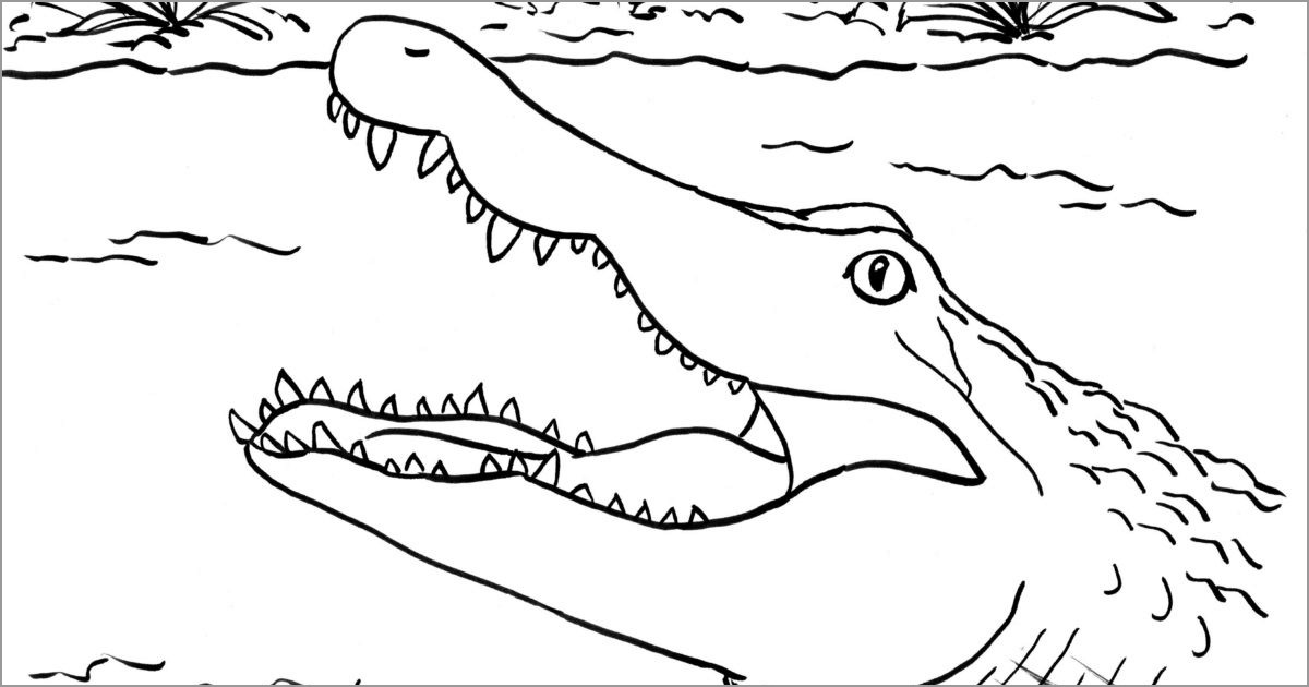 Alligator Mouth Coloring Page