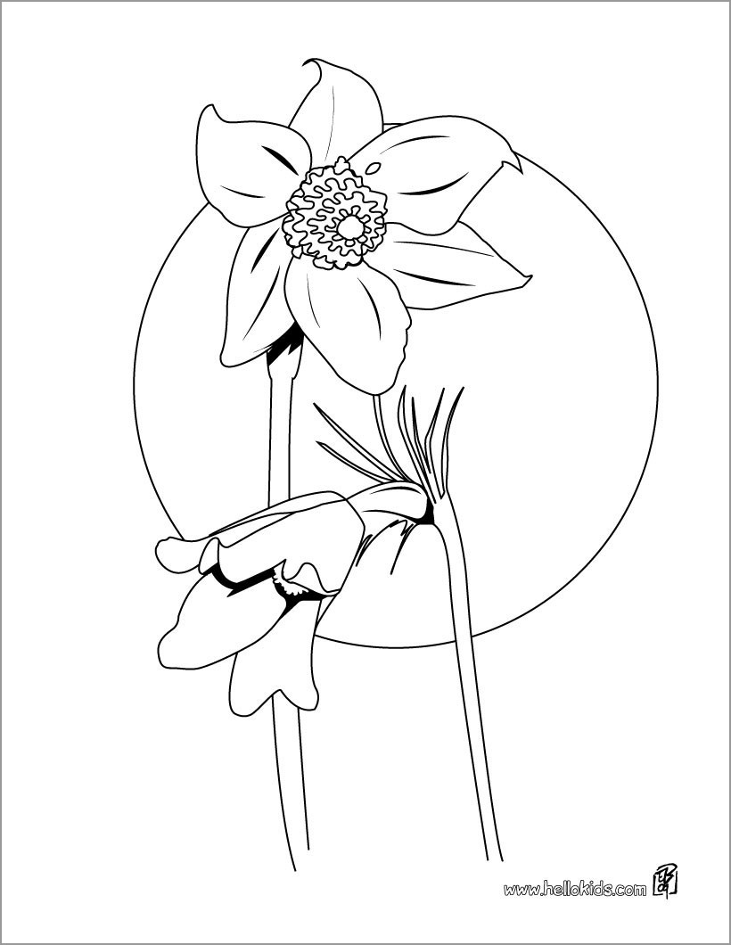 Anemone Coloring Page for Kids