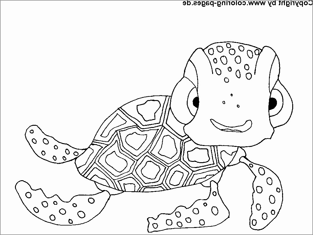 Animal Mandala Coloring Page Baby Turtle
