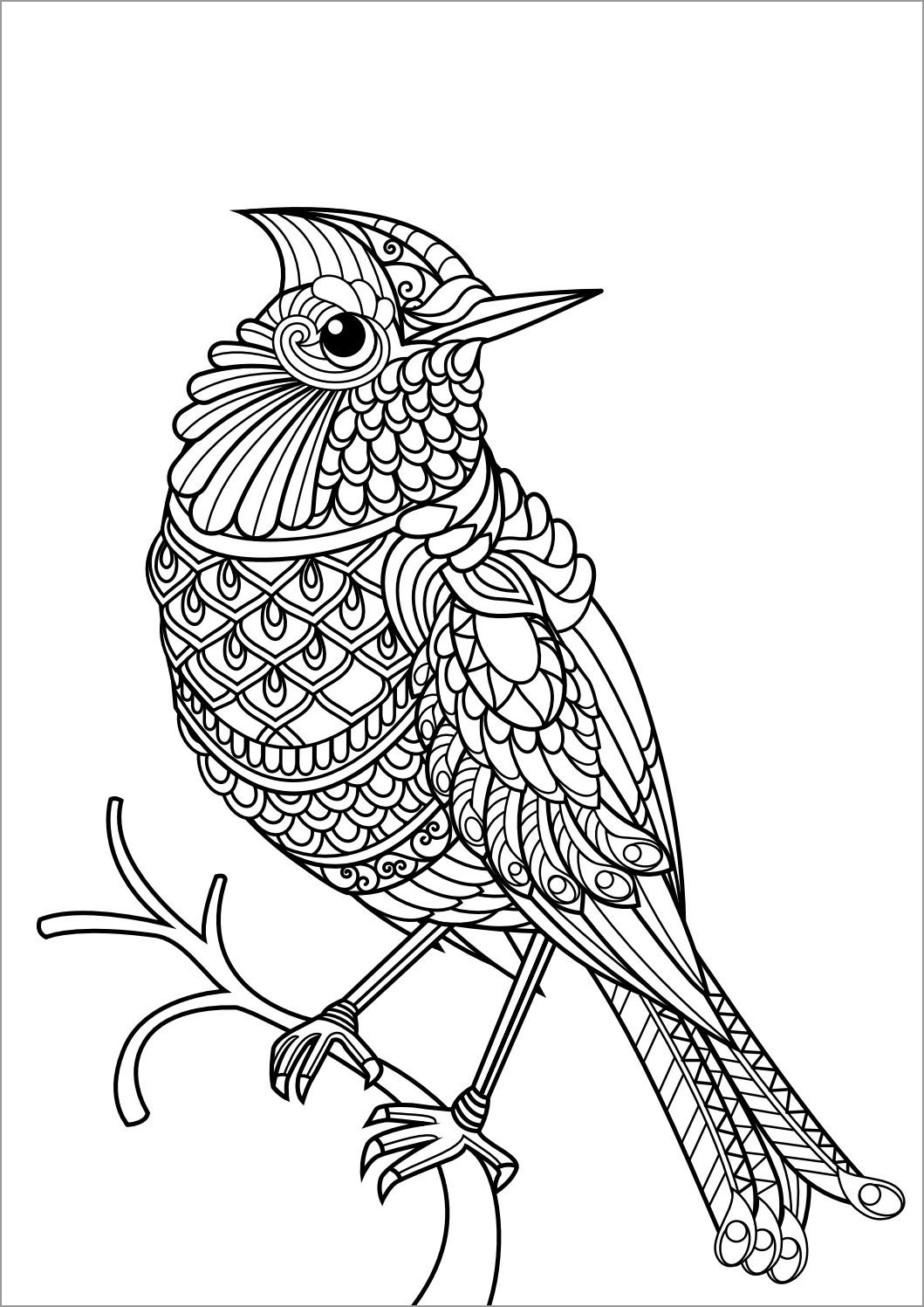 Animal Mandala Coloring Pages  ColoringBay