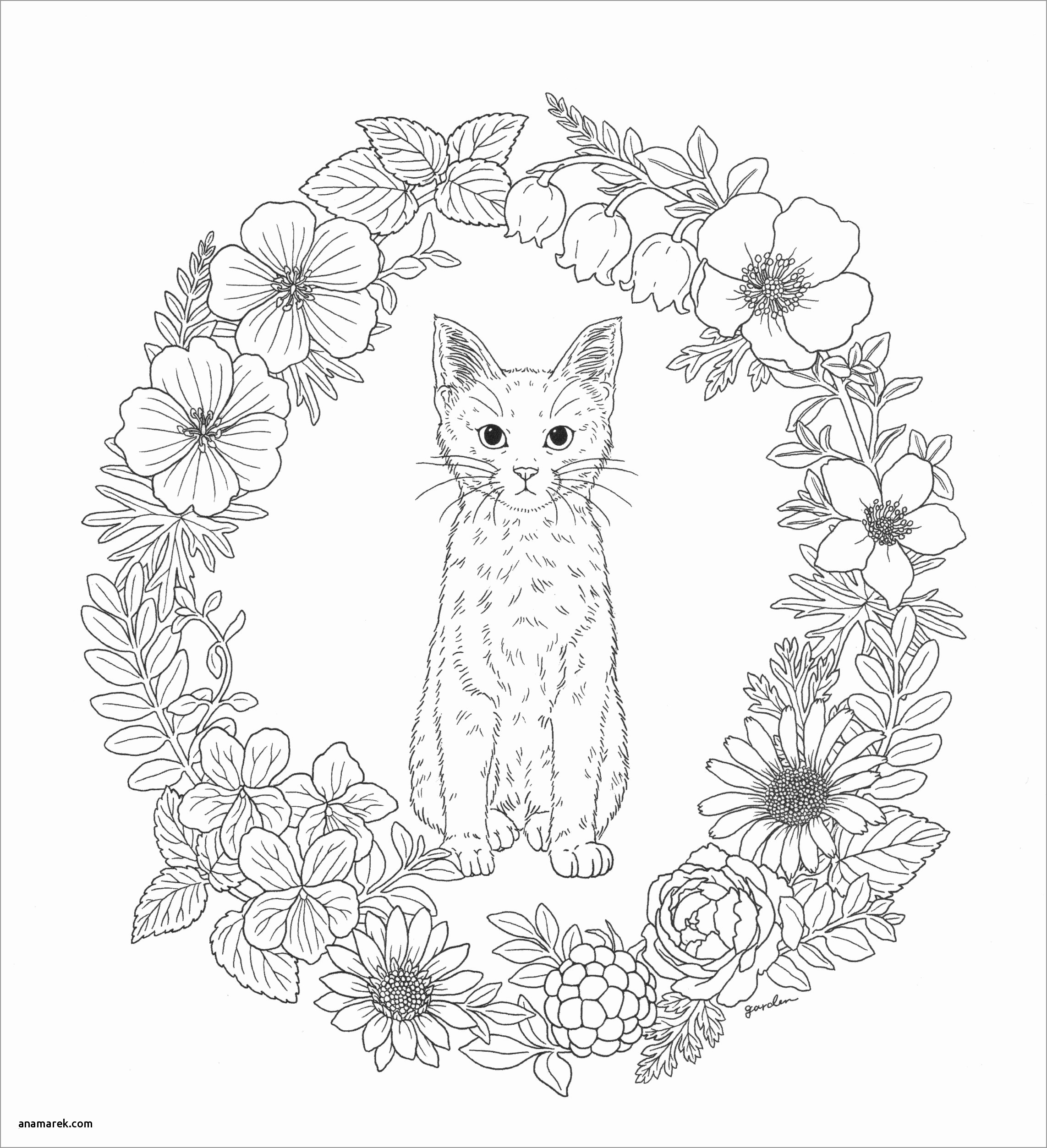 Animal Mandala Coloring Page Cat   ColoringBay