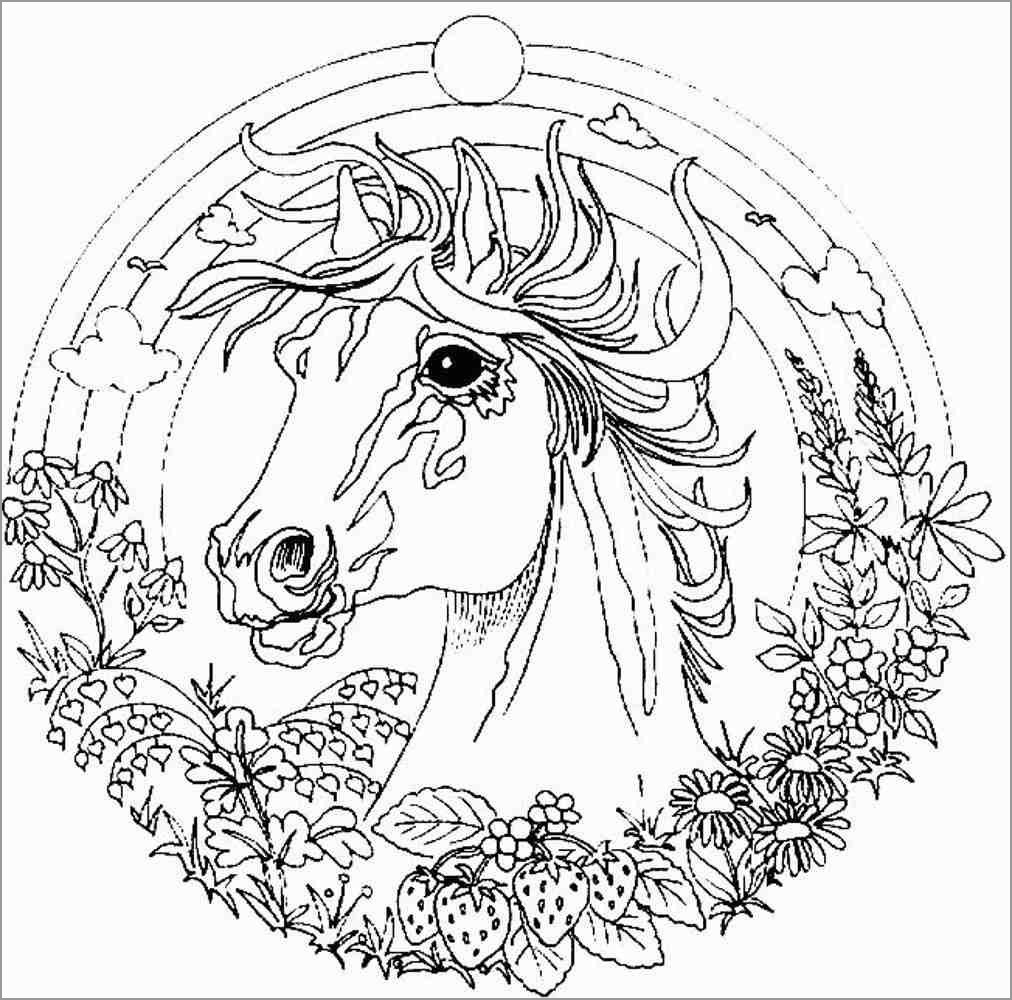 Animal Mandala Coloring Page Horse Head