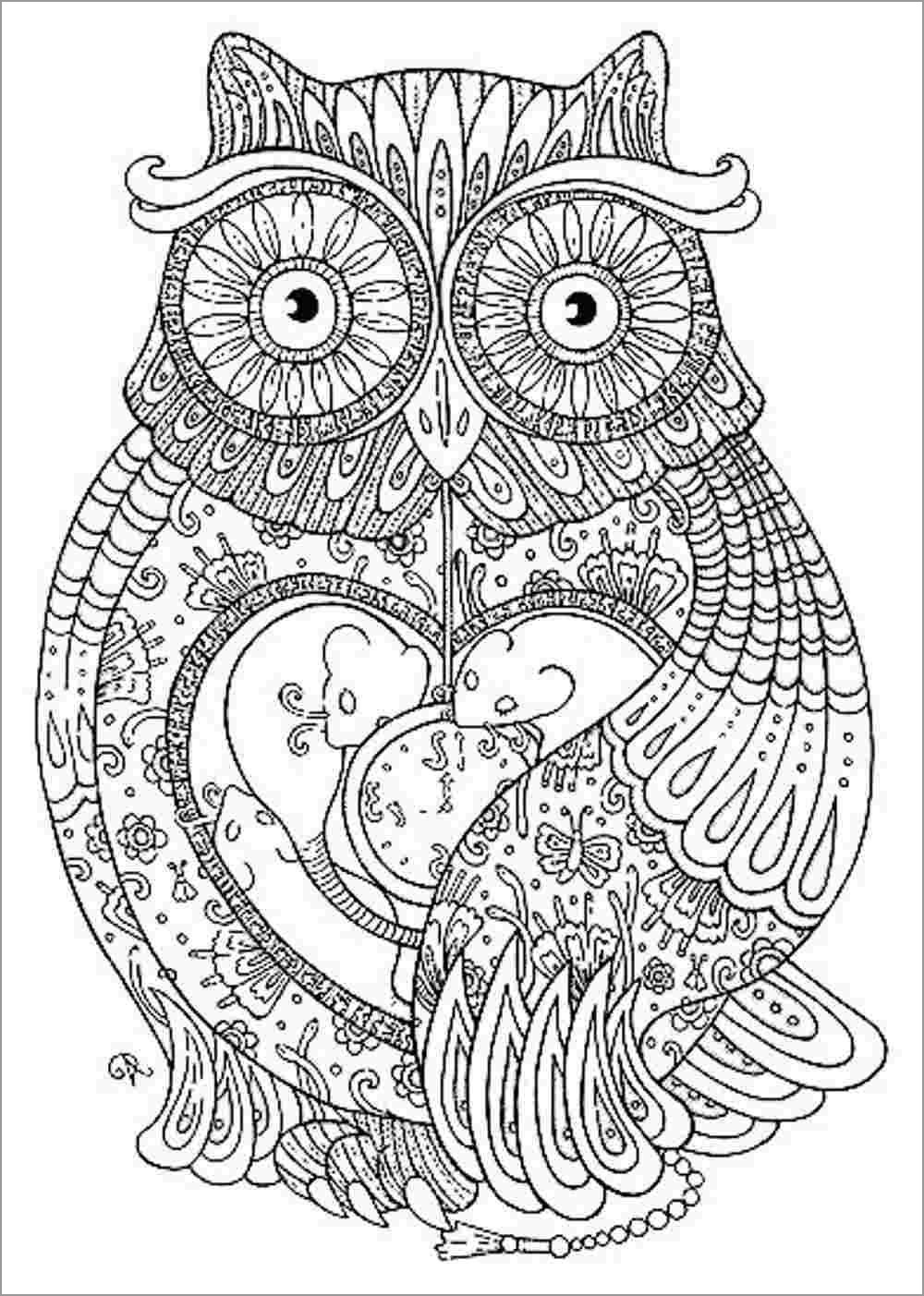 Animal Mandala Coloring Page Owl   ColoringBay