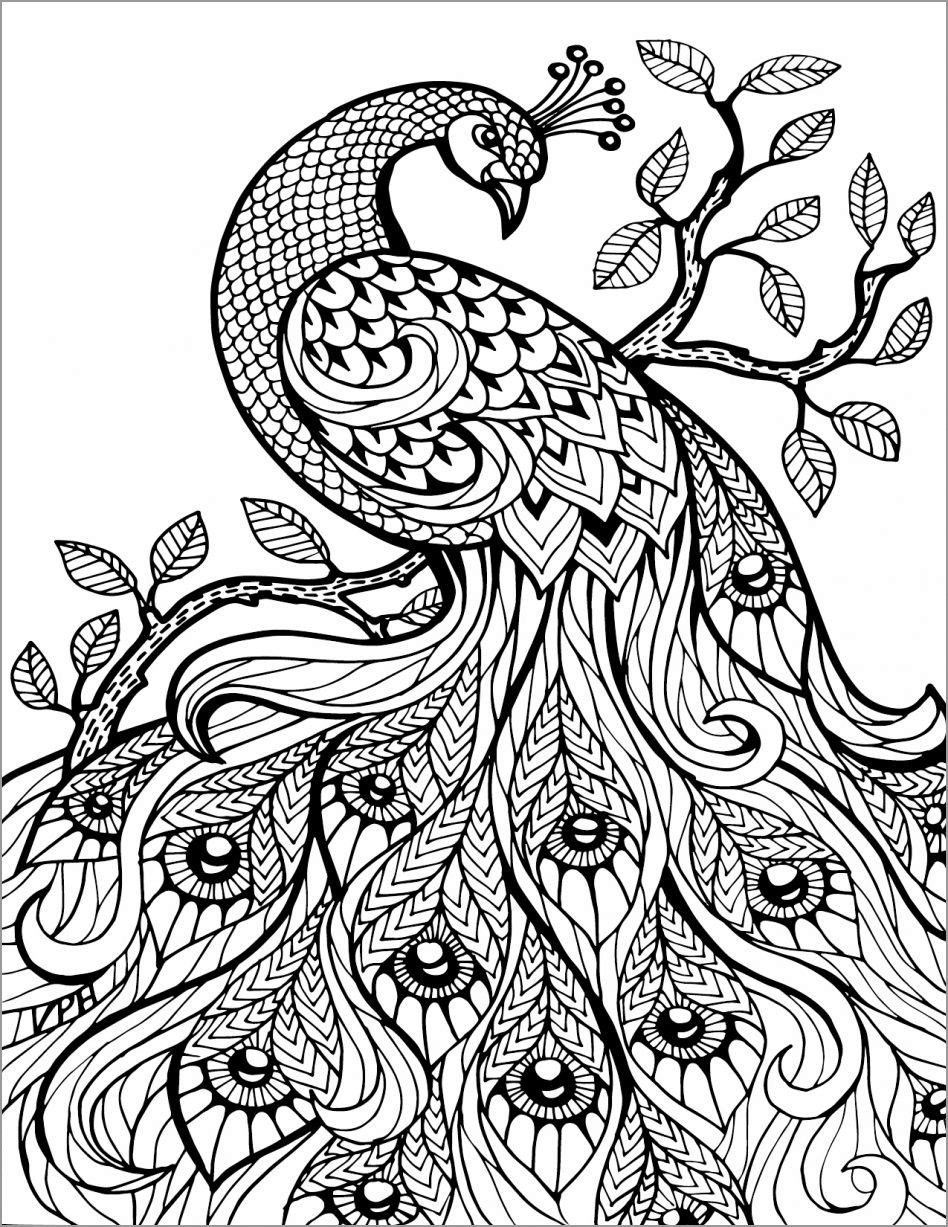 Animal Mandala Coloring Page Peacock   ColoringBay