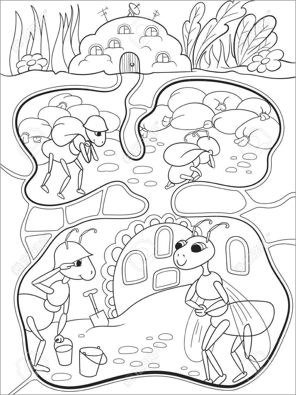 Ant Colony Coloring Page for Kids