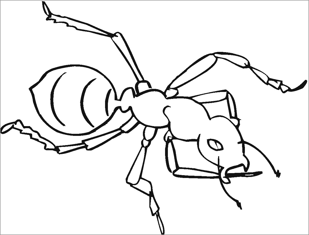 Ant Coloring Page for toddlers