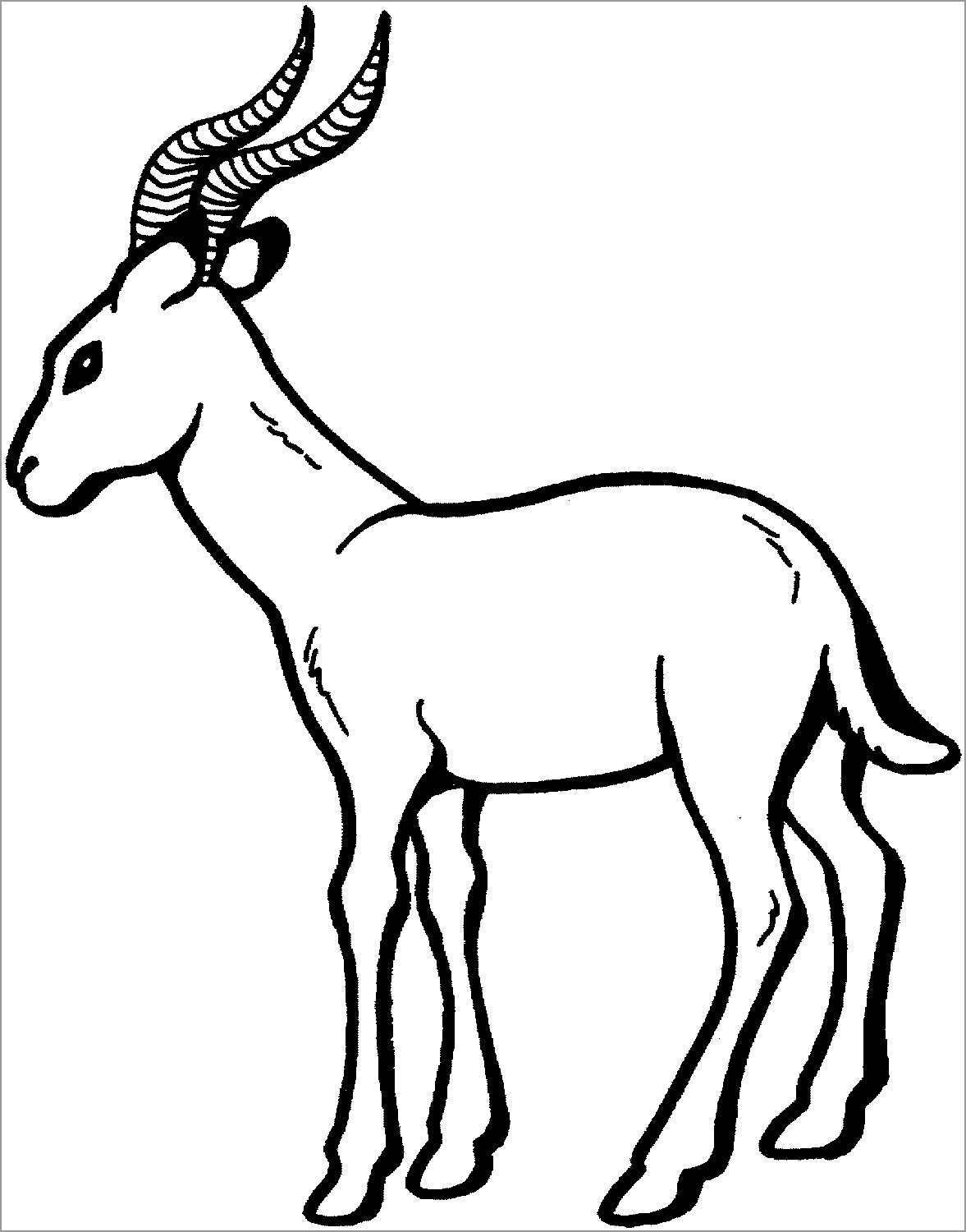 Antelopes Coloring Pages