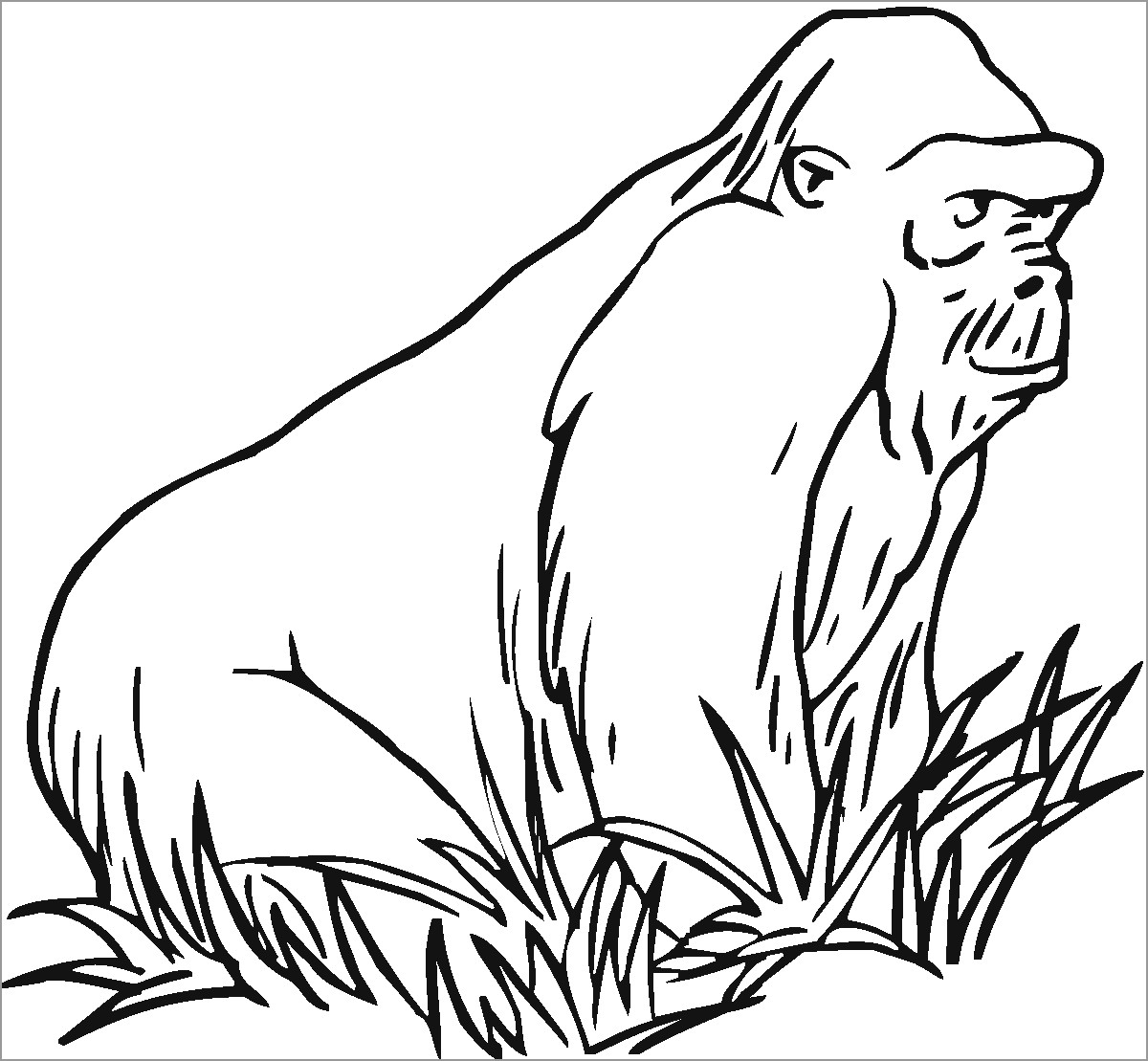 Apes On the Grass Coloring Page
