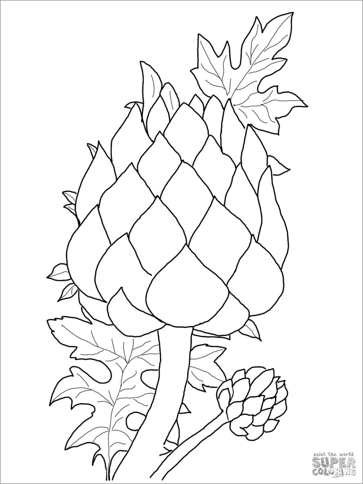 Artichoke Coloring Page for Kids