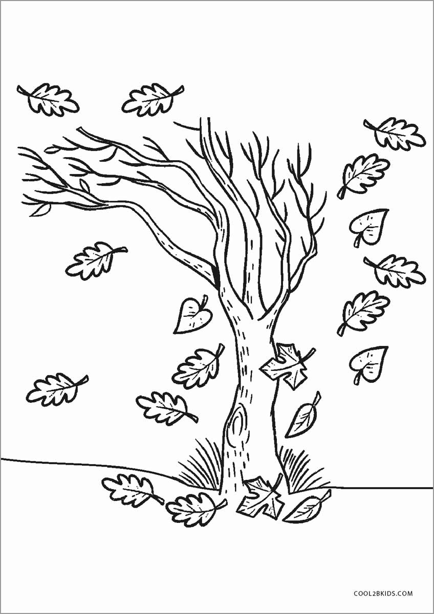 Autumn Tree Coloring Pages