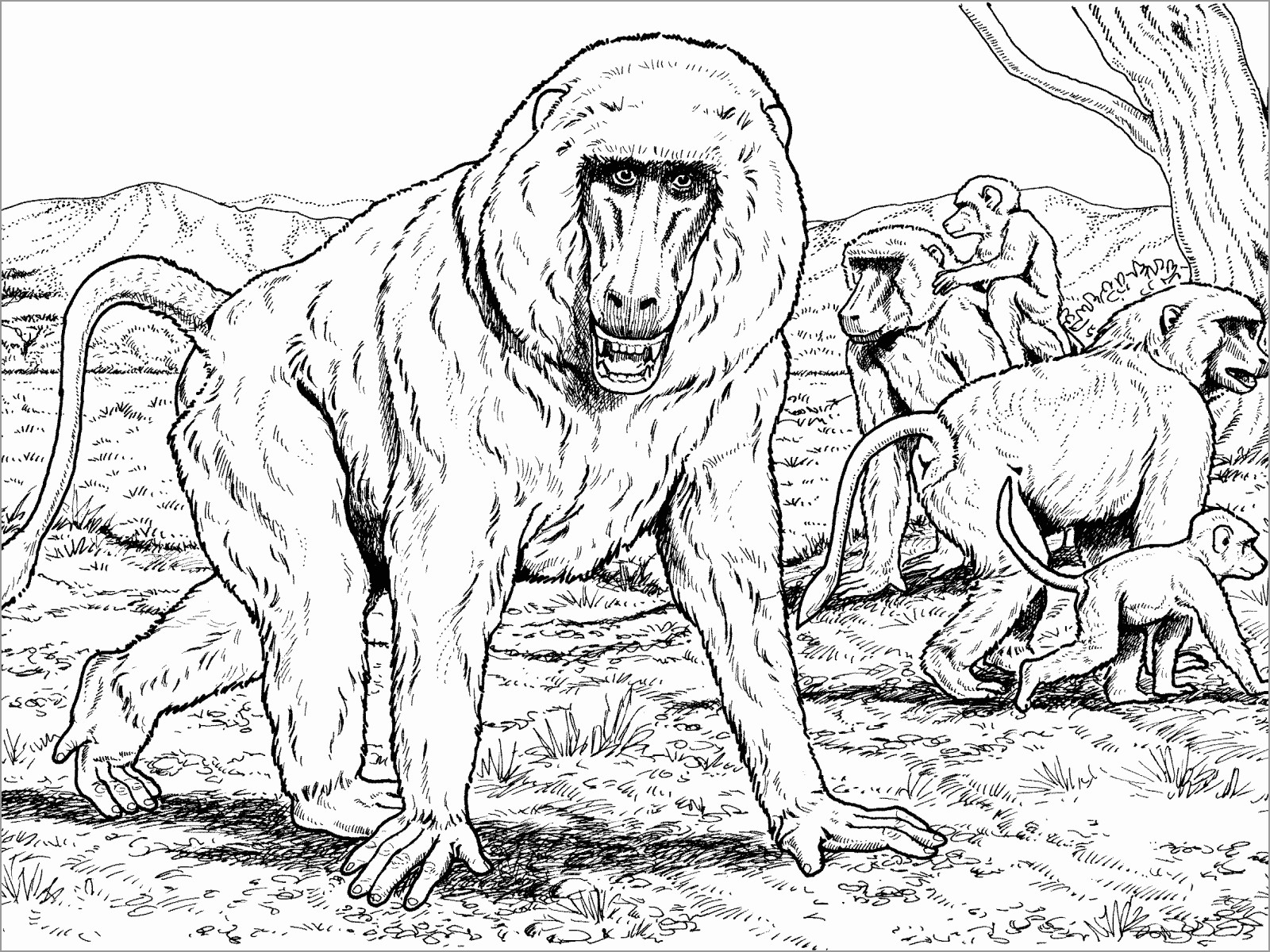 Baboon Family Coloring Page