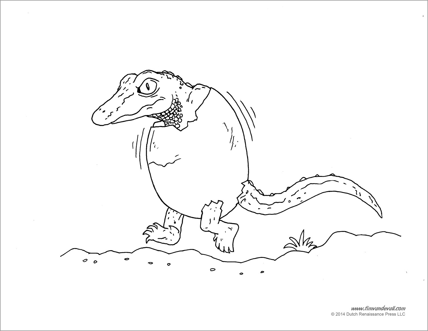 Baby Alligator Coloring Page for Kids