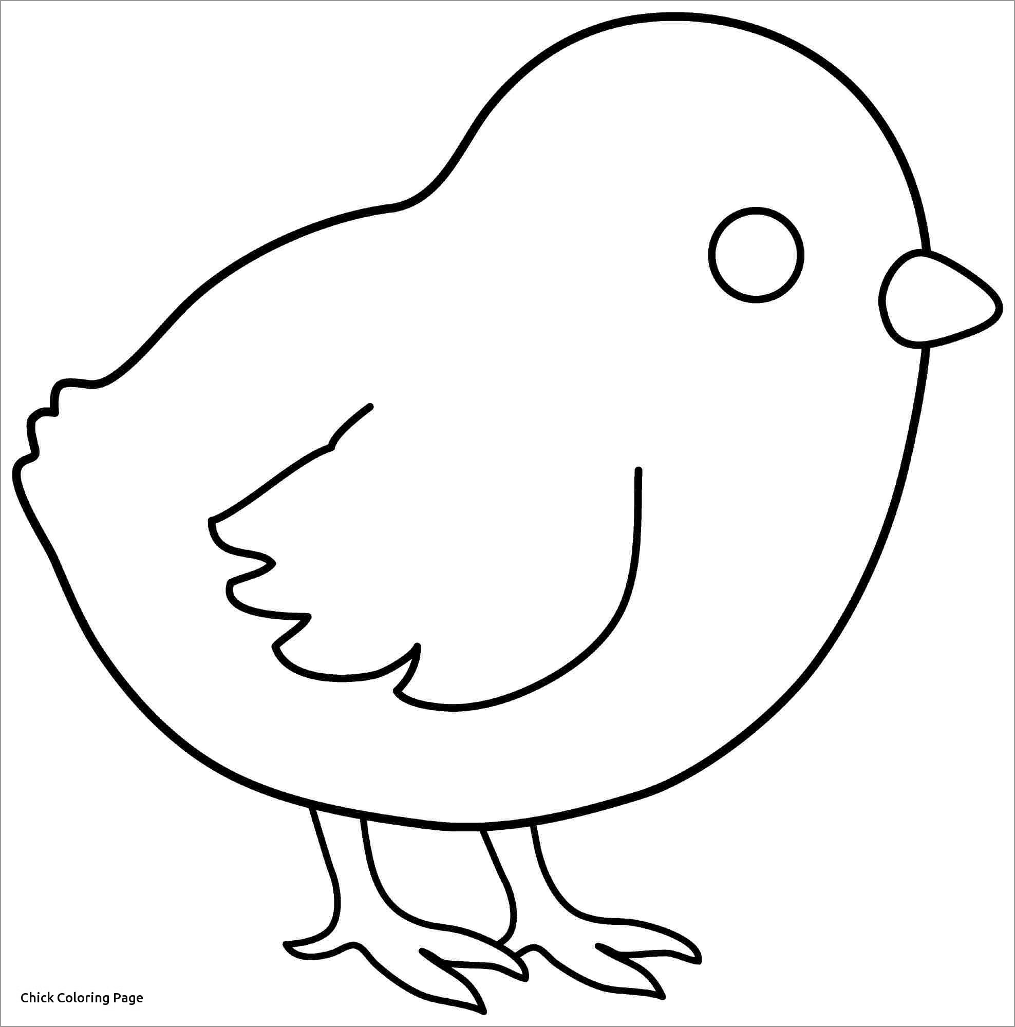 Baby Chicken Coloring Page