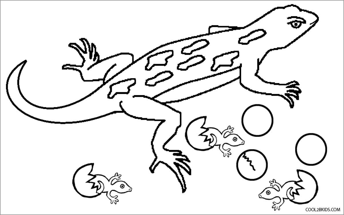Baby Lizard Coloring Pages for Kids