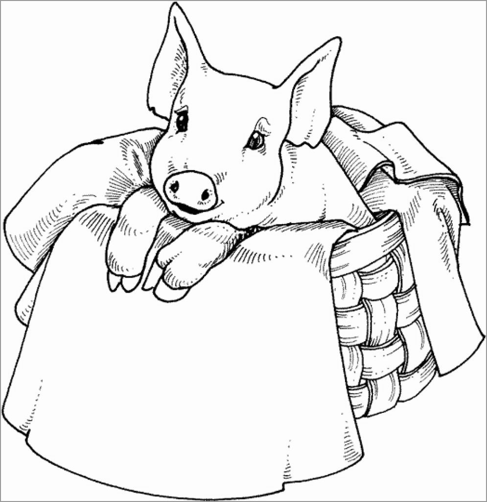 Pigs Coloring Pages Printable