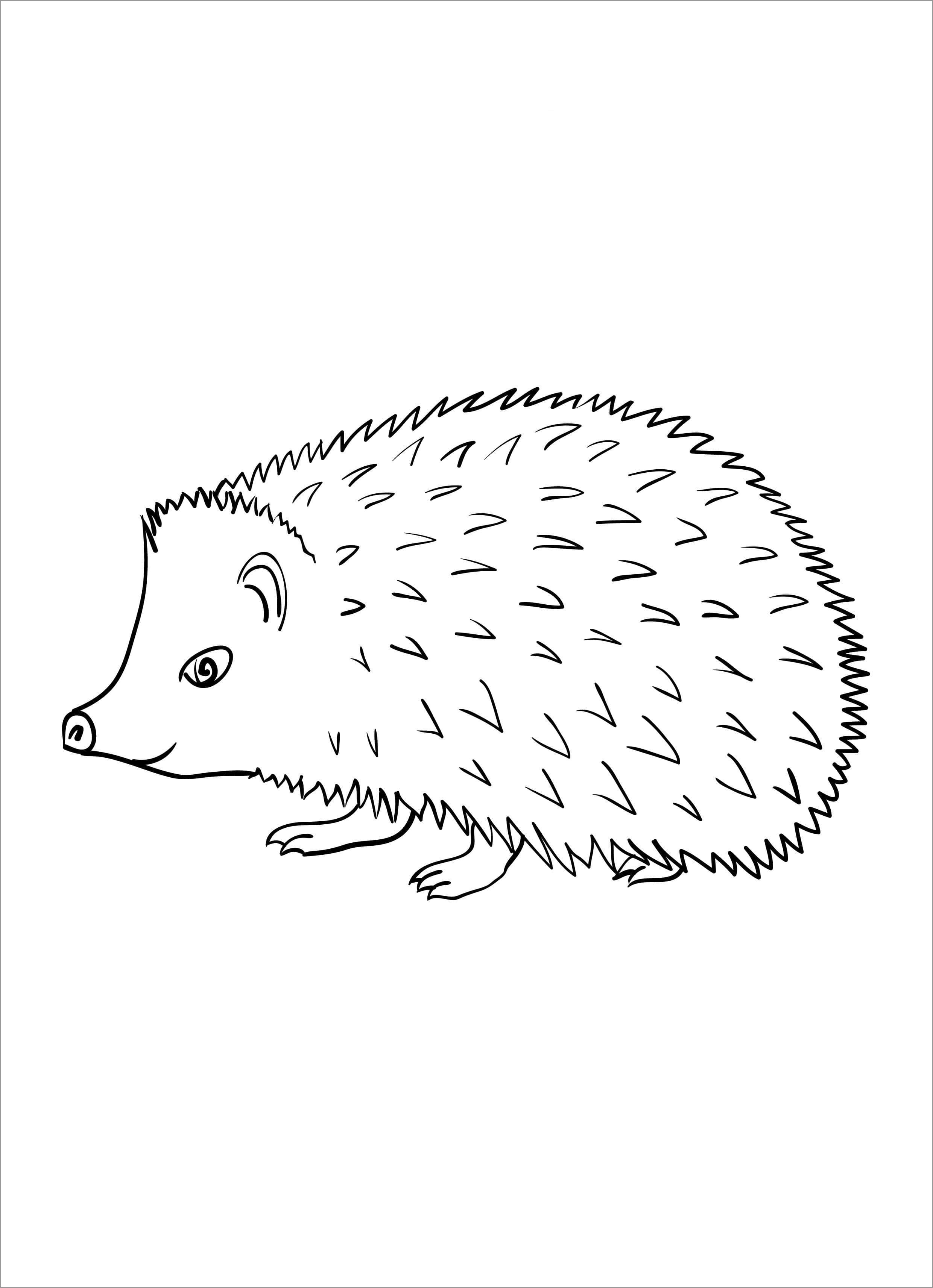Baby Porcupines Coloring Page for Kids
