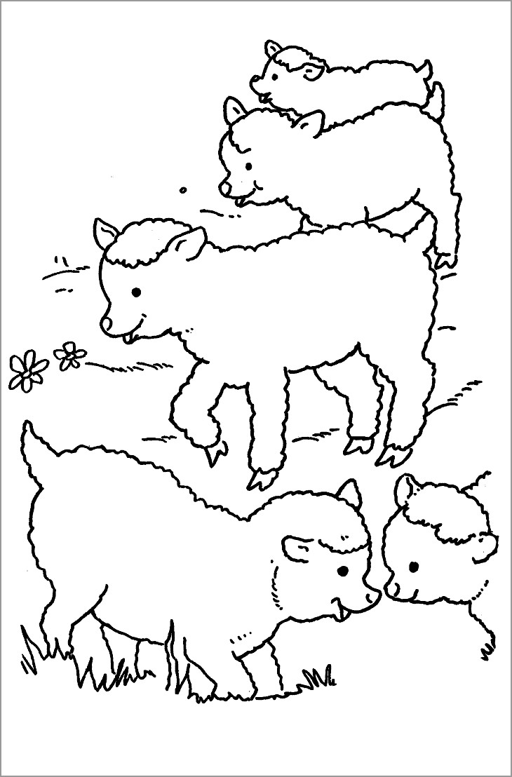 Baby Sheep Coloring Page for Kids
