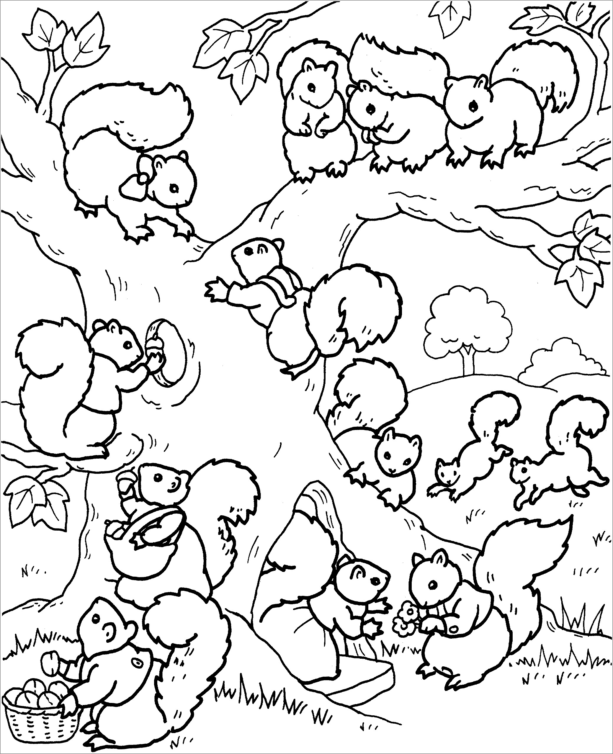 Baby Squirrel In A Tree Coloring Page