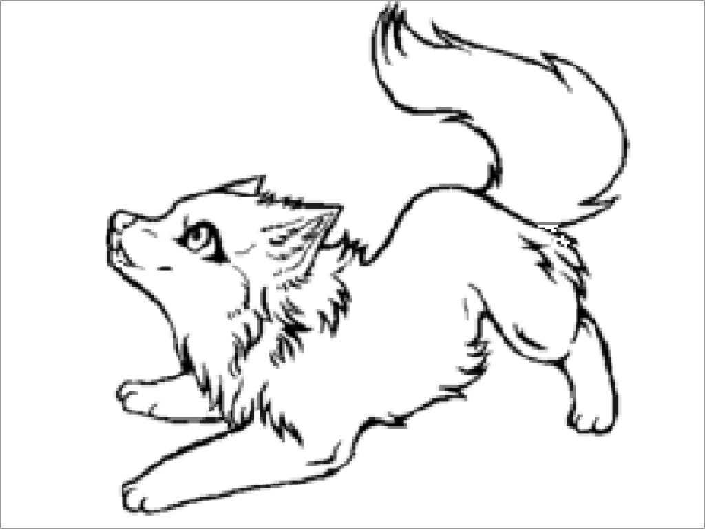 Baby Wolf Coloring Page   ColoringBay