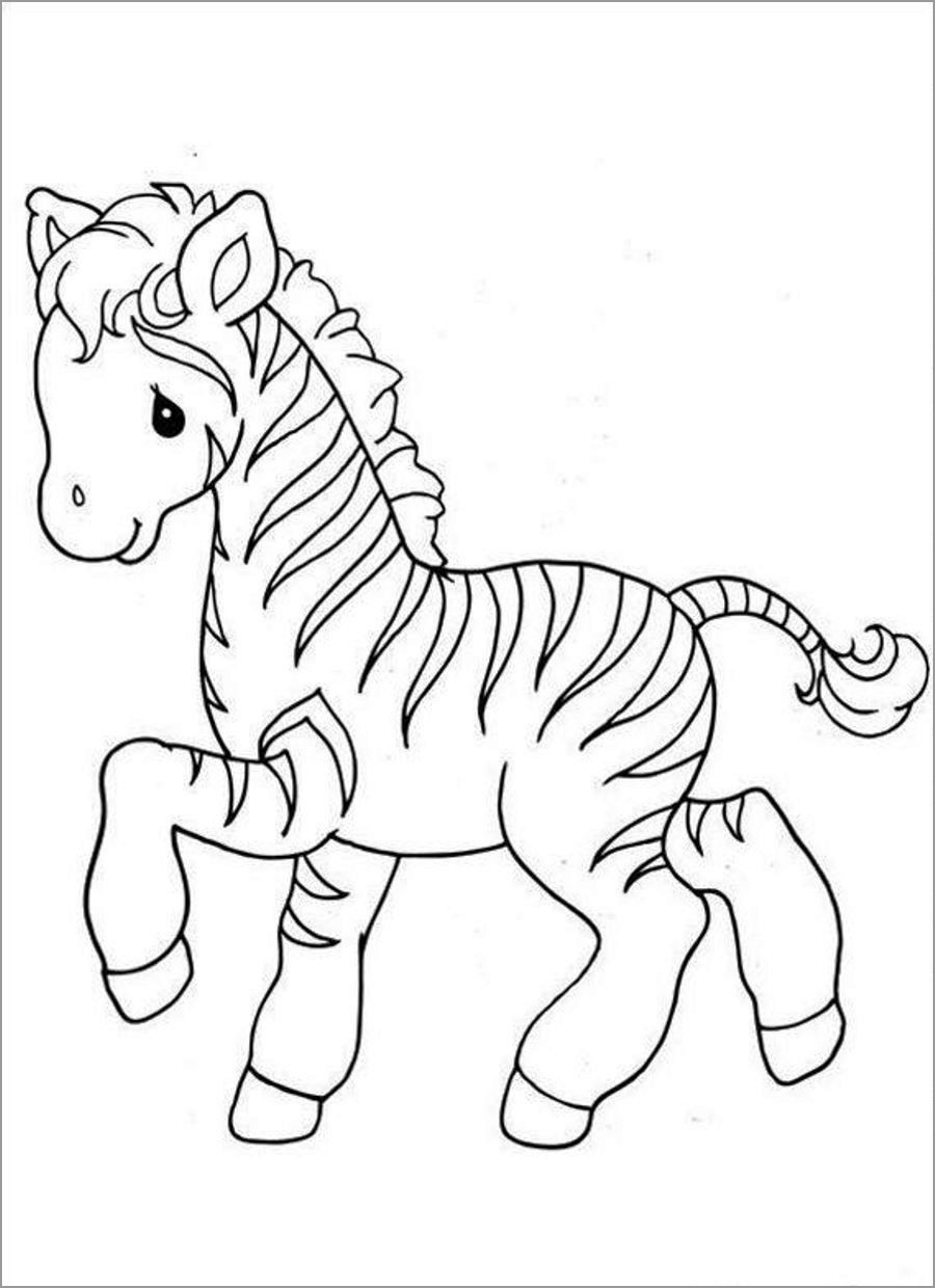Baby Zebra Coloring Page for Kids