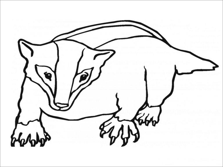 Honey Badger Coloring Pages - ColoringBay