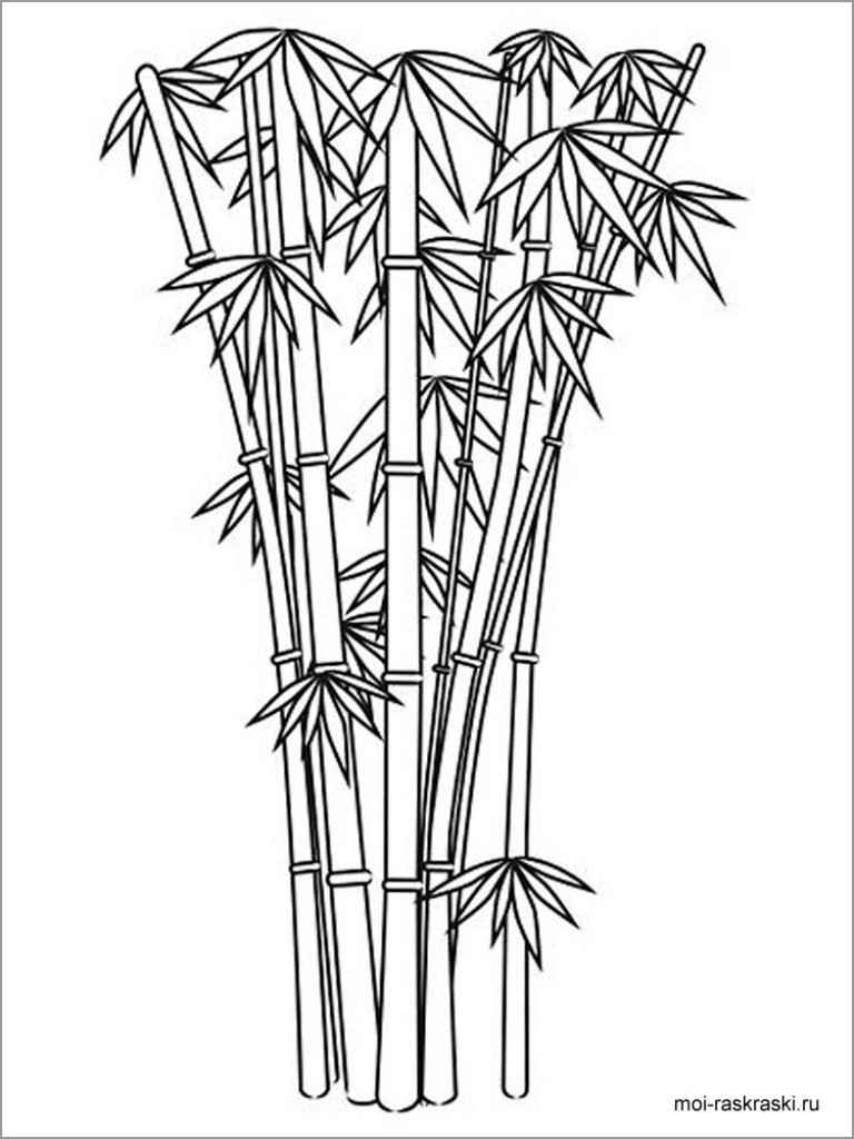 Bamboo Tree Coloring Pages