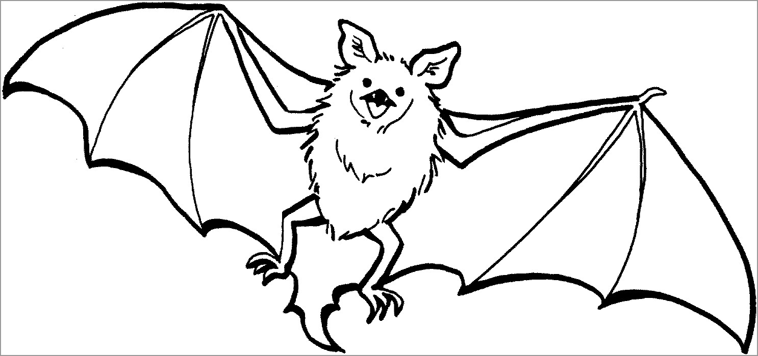 Bat Coloring Pages for Adults