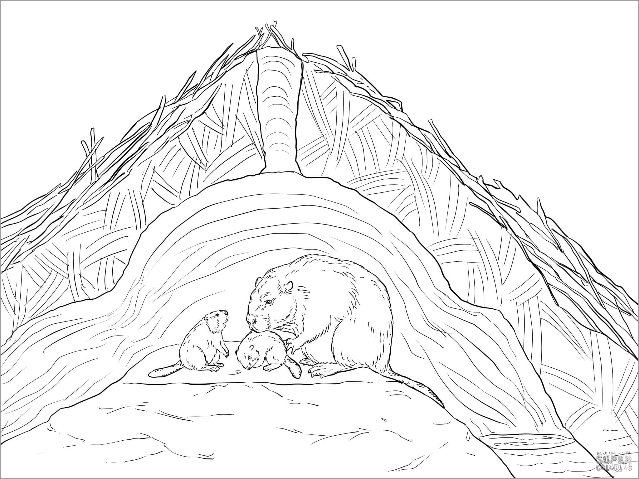 Beaver and Baby In Lodge Coloring Page