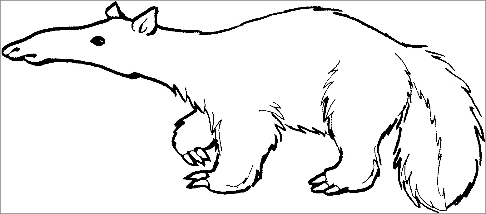 Big Anteater Coloring Page