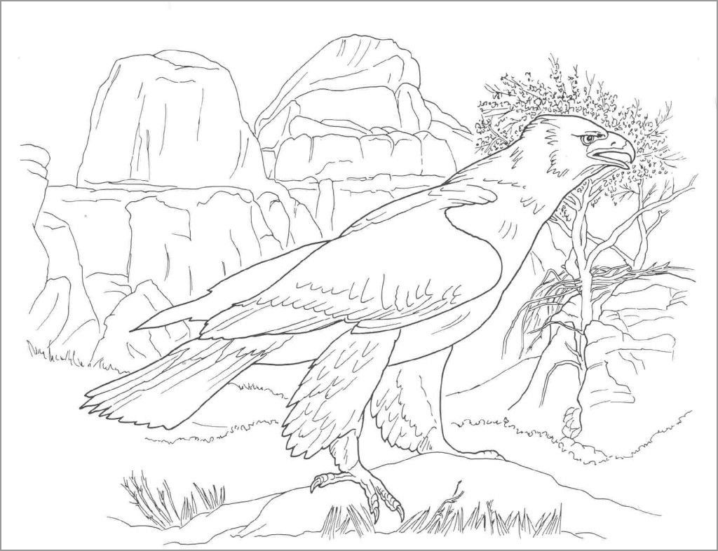 Bird Desert Animal Coloring Pages for Adult